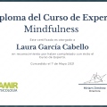 Acercar imagen: certificate 9