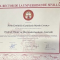 Acercar imagen: certificate 3
