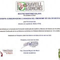 Acercar imagen: certificate 4