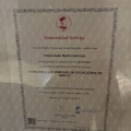 Acercar imagen: certificate 7