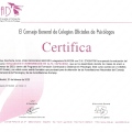 Acercar imagen: certificate 97