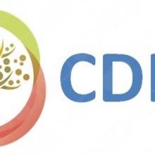 Centro de Desarrollo Infantil de Ciudad Real