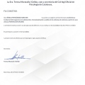 Acercar imagen: certificate 9