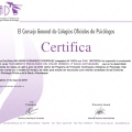 Acercar imagen: certificate 20