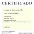 Acercar imagen: certificate 3