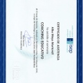 Acercar imagen: certificate 12