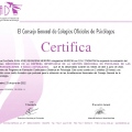 Acercar imagen: certificate 110