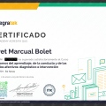 Acercar imagen: certificate 3