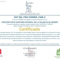 Acercar imagen: certificate 6