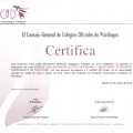 Acercar imagen: certificate 192