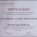 Acercar imagen: certificate 2