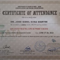 Acercar imagen: certificate 11