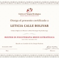Acercar imagen: certificate 6