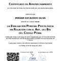 Acercar imagen: certificate 13