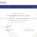 Acercar imagen: certificate 4