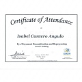 Acercar imagen: certificate 1