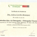 Acercar imagen: certificate 1