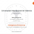 Acercar imagen: certificate 5