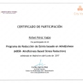 Acercar imagen: certificate 10