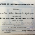 Acercar imagen: certificate 6