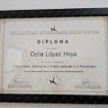 Acercar imagen: certificate 3