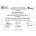 Acercar imagen: certificate 6