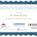 Acercar imagen: certificate 5