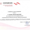Acercar imagen: certificate 4
