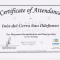 Acercar imagen: certificate 1