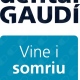 Dental Gaudí