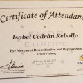 Acercar imagen: certificate 3