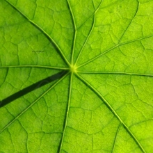 Instituto Asturiano de Psicoterapia y Psicodrama