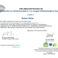 Acercar imagen: certificate 11