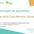 Acercar imagen: certificate 5