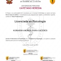 Acercar imagen: certificate 2