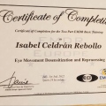 Acercar imagen: certificate 4