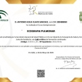 Acercar imagen: certificate 2