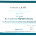 Acercar imagen: certificate 313