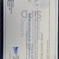 Acercar imagen: certificate 17