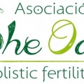 She Oak Holistic FertilityBarcelona - 
