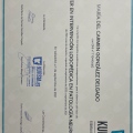 Acercar imagen: certificate 2