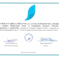 Acercar imagen: certificate 4