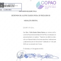 Acercar imagen: certificate 4