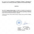 Acercar imagen: certificate 12