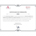 Acercar imagen: certificate 5