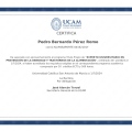 Acercar imagen: certificate 4