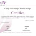 Acercar imagen: certificate 212