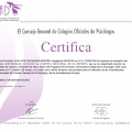 Acercar imagen: certificate 98