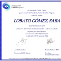 Acercar imagen: certificate 13