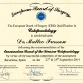 Acercar imagen: certificate 4